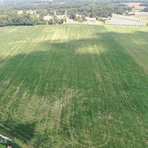 Photo #5 of Tbd Chicken, Fairmont, NC 64.7 acres