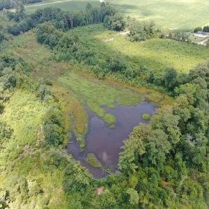 Photo #16 of Tbd Chicken, Fairmont, NC 64.7 acres
