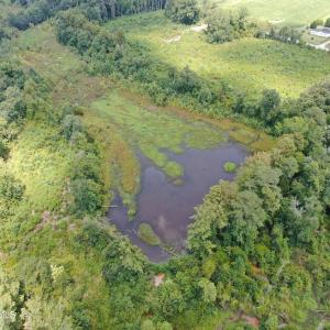 Photo #15 of Tbd Chicken, Fairmont, NC 64.7 acres