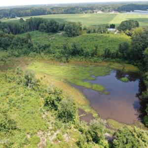 Photo #18 of Tbd Chicken, Fairmont, NC 64.7 acres