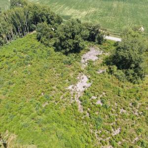 Photo #26 of Tbd Chicken, Fairmont, NC 64.7 acres