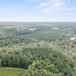 Photo #7 of Tba Bill Hooks, Whiteville, NC 38.8 acres