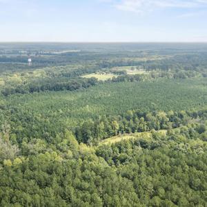 Photo #6 of Tba Bill Hooks, Whiteville, NC 38.8 acres