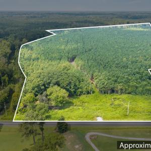 Photo #11 of Tba Bill Hooks, Whiteville, NC 38.8 acres
