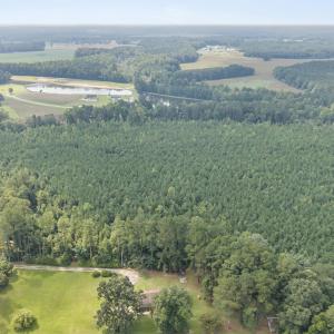Photo #5 of Tba Bill Hooks, Whiteville, NC 38.8 acres