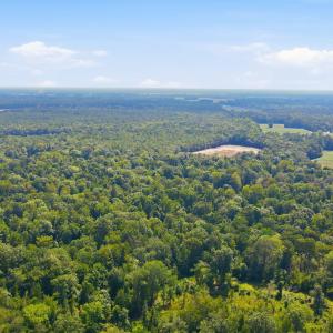 Photo #19 of 315 Heath, Trenton, NC 234.3 acres