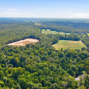 Photo #20 of 315 Heath, Trenton, NC 234.3 acres