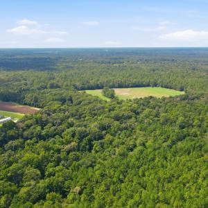 Photo #15 of 315 Heath, Trenton, NC 234.3 acres
