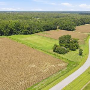 Photo #7 of 315 Heath, Trenton, NC 234.3 acres