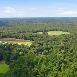Photo #16 of 315 Heath, Trenton, NC 234.3 acres