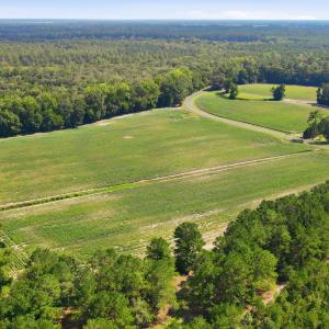 Photo #24 of 315 Heath, Trenton, NC 234.3 acres