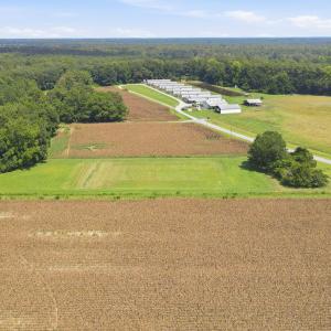 Photo #8 of 315 Heath, Trenton, NC 234.3 acres