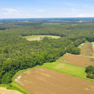Photo #11 of 315 Heath, Trenton, NC 234.3 acres