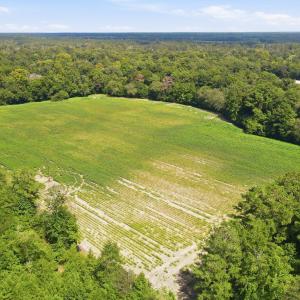 Photo #23 of 315 Heath, Trenton, NC 234.3 acres
