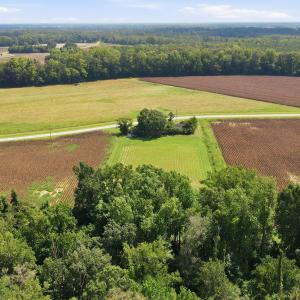 Photo #5 of 315 Heath, Trenton, NC 234.3 acres