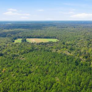 Photo #14 of 315 Heath, Trenton, NC 234.3 acres