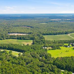 Photo #25 of 315 Heath, Trenton, NC 234.3 acres
