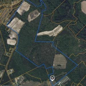 Photo #31 of 315 Heath, Trenton, NC 234.3 acres