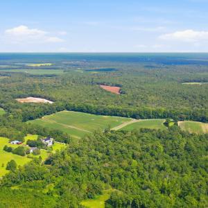 Photo #27 of 315 Heath, Trenton, NC 234.3 acres