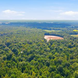 Photo #22 of 315 Heath, Trenton, NC 234.3 acres