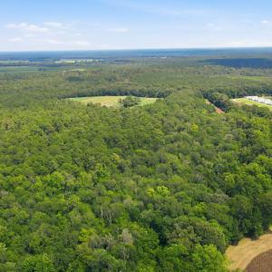 Photo #12 of 315 Heath, Trenton, NC 234.3 acres