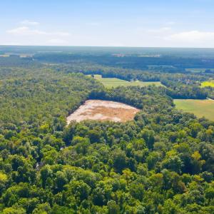 Photo #21 of 315 Heath, Trenton, NC 234.3 acres