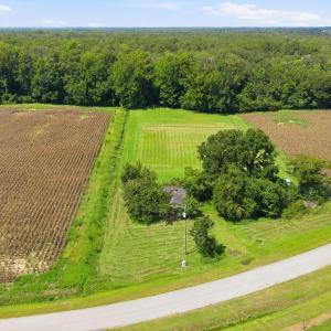 Photo #9 of 315 Heath, Trenton, NC 234.3 acres