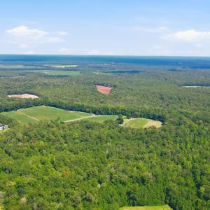Photo #28 of 315 Heath, Trenton, NC 234.3 acres