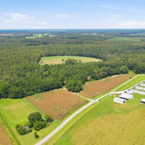 Photo #10 of 315 Heath, Trenton, NC 234.3 acres