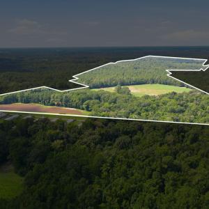 Photo #3 of 315 Heath, Trenton, NC 234.3 acres