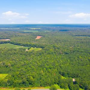 Photo #29 of 315 Heath, Trenton, NC 234.3 acres