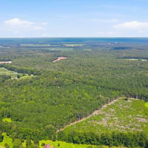 Photo #30 of 315 Heath, Trenton, NC 234.3 acres