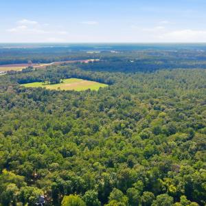 Photo #13 of 315 Heath, Trenton, NC 234.3 acres