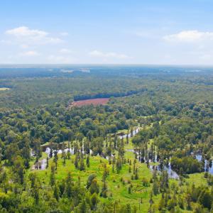 Photo #17 of 315 Heath, Trenton, NC 234.3 acres