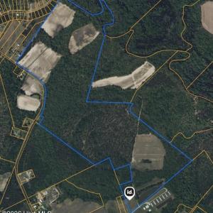 Photo #31 of 315 Heath, Trenton, NC 234.3 acres
