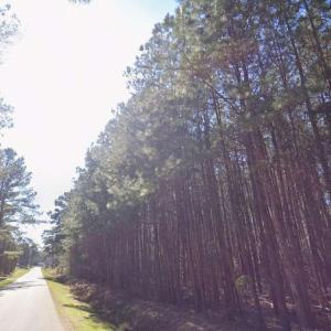 Photo #4 of 3rd, Hertford, NC 0.3 acres