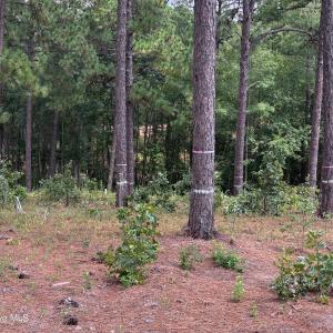 Photo #14 of 103 Haddington, Pinehurst, NC 1.2 acres