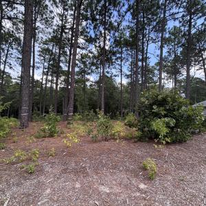 Photo #11 of 103 Haddington, Pinehurst, NC 1.2 acres