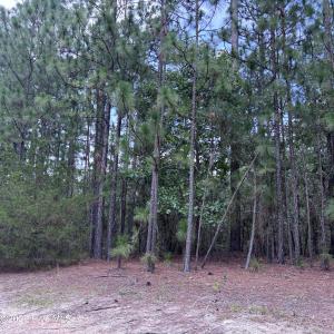 Photo #8 of 109 Haddington, Pinehurst, NC 1.6 acres