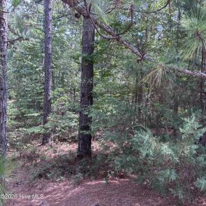 Photo #10 of 109 Haddington, Pinehurst, NC 1.6 acres