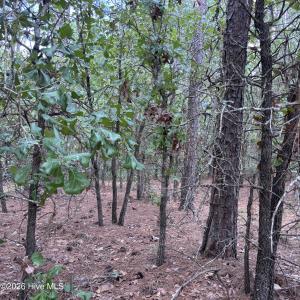 Photo #7 of 109 Haddington, Pinehurst, NC 1.6 acres