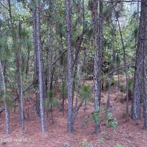 Photo #9 of 109 Haddington, Pinehurst, NC 1.6 acres