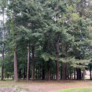 Photo #4 of 108 Nanthala, Hertford, NC 0.5 acres