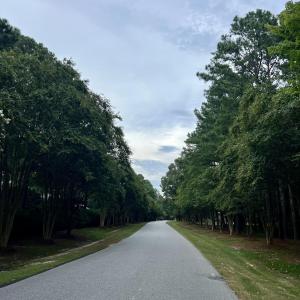 Photo #5 of 108 Nanthala, Hertford, NC 0.5 acres