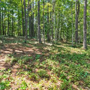 Photo #15 of 3075 Valderama, Bolivia, NC 0.5 acres