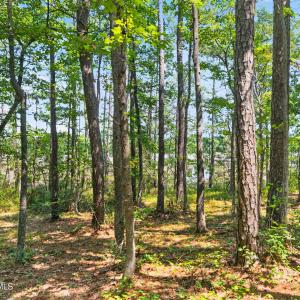 Photo #12 of 3075 Valderama, Bolivia, NC 0.5 acres