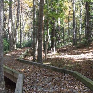 Photo #25 of 3075 Valderama, Bolivia, NC 0.5 acres