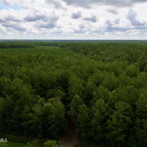 Photo #2 of Cupelo, Walstonburg, NC 9.6 acres