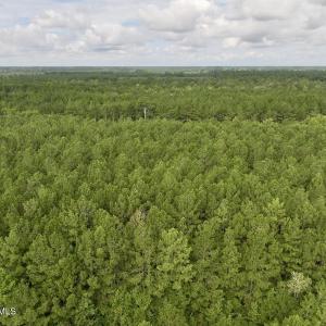 Photo #8 of Cupelo, Walstonburg, NC 9.6 acres