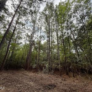Photo #18 of Cupelo, Walstonburg, NC 9.6 acres